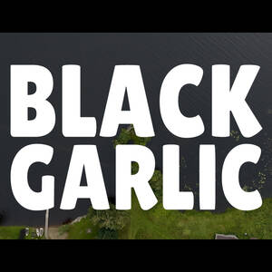 Pura Garden - Black Garlic